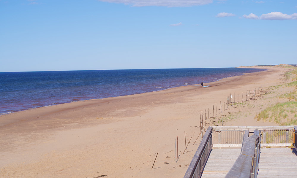 Brackley Beach Hostel | 37 Britain Shore Rd, Brackley Beach, PE C1E 2P6, Canada | Phone: (902) 316-1126