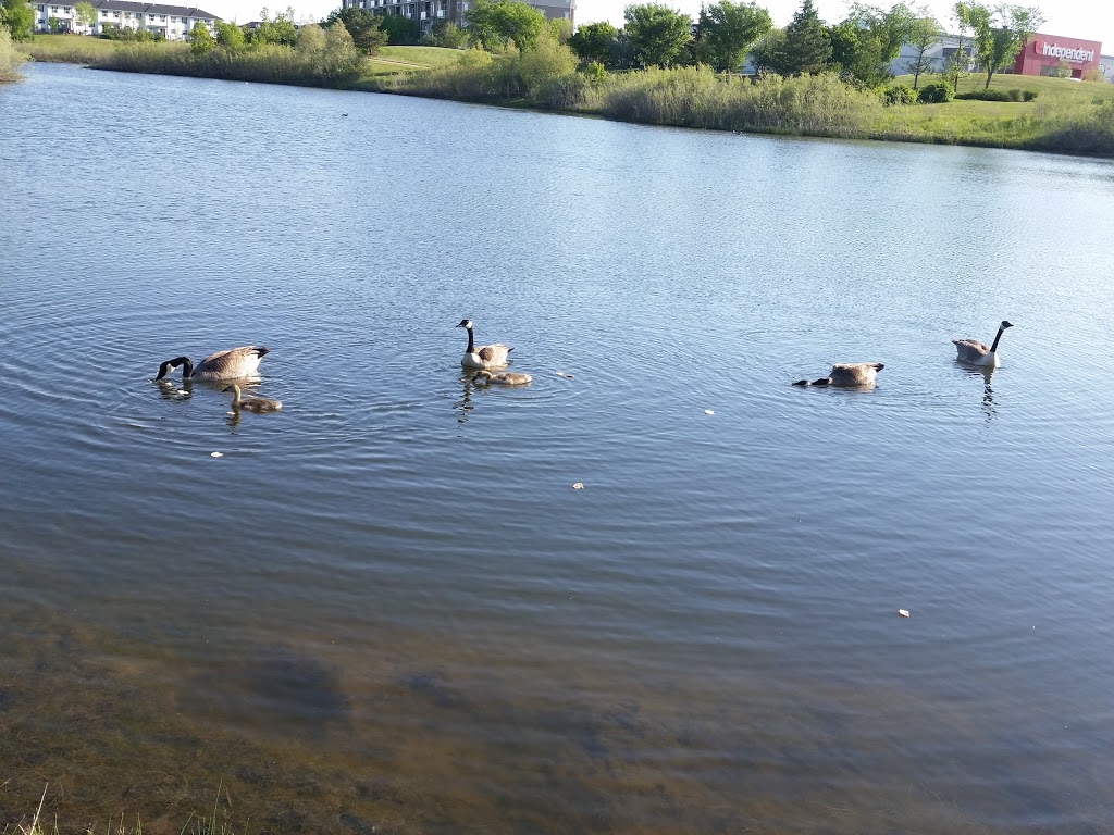 Trounce Pond | Saskatoon, SK S7V 1J2, Canada | Phone: (306) 975-3300