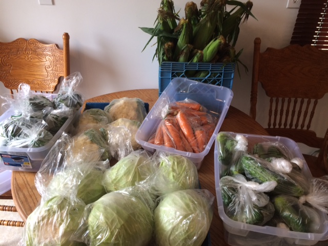T&T Fruit & Vegetables | 58082 Juno Rd, Elma, MB R0E 0Z0, Canada | Phone: (204) 348-2976