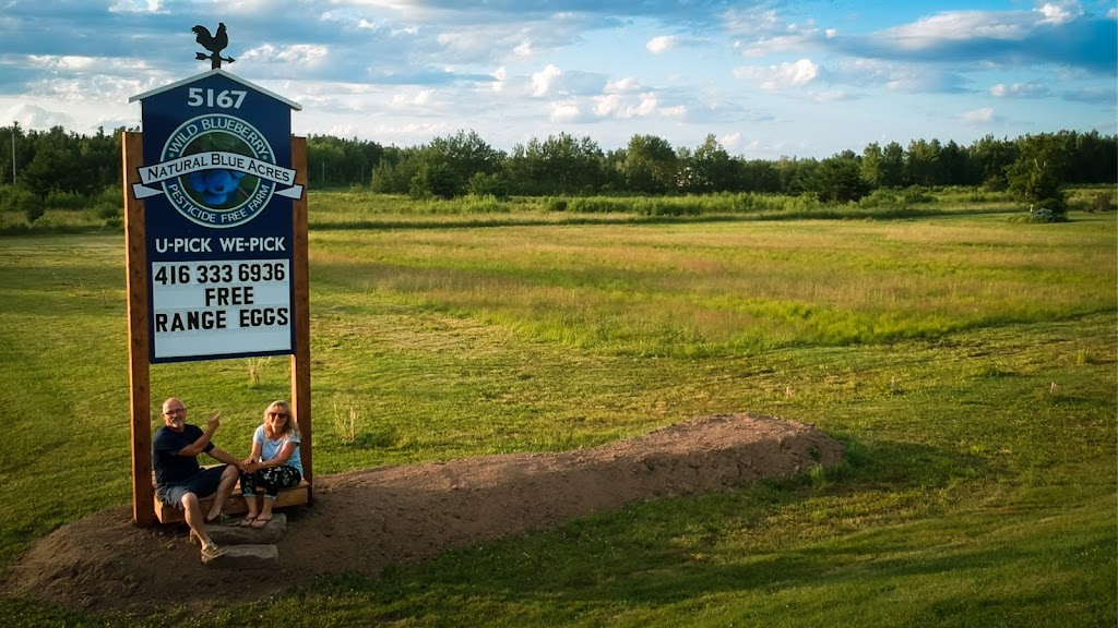 Natural Blue Acres | 5167 Route 495, Sainte-Marie-de-Kent, NB E4S 1Y9, Canada | Phone: (416) 333-6936