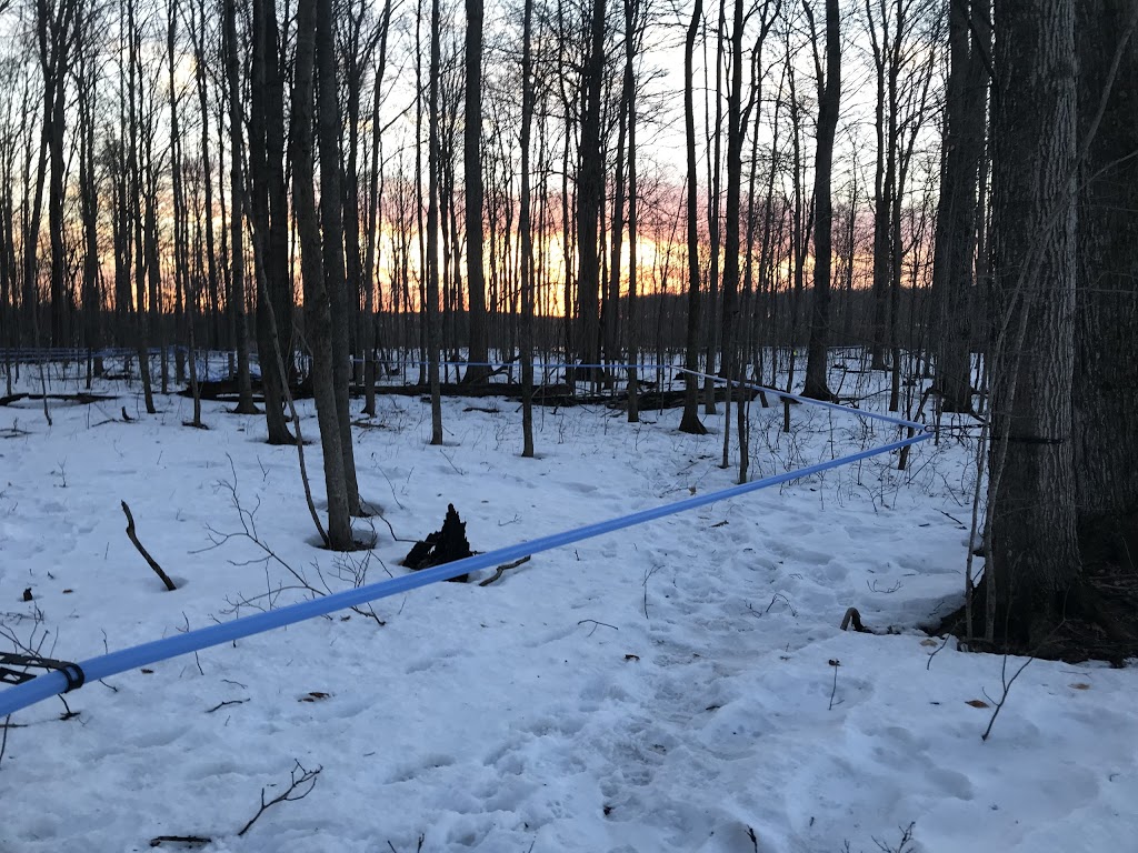 Wiebe Maple Products | 2955 Perth Rd 163, Fullarton, ON N0K 1H0, Canada | Phone: (519) 229-6570