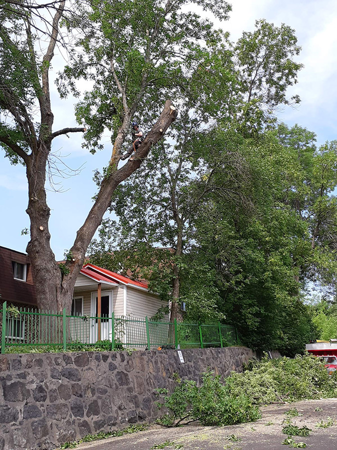 Arboriculture du fjord | 561 Delisle, Chicoutimi, QC G7G 3B7, Canada | Phone: (581) 234-4190