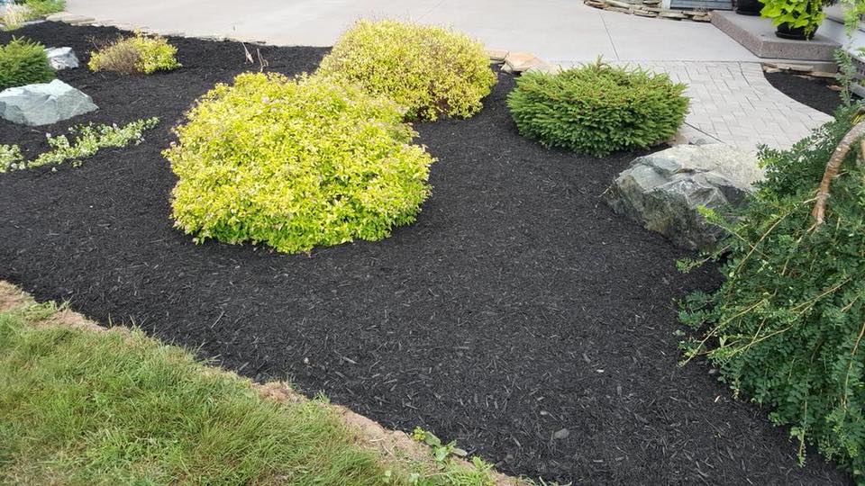 Quality Lawn Care & Landscaping | 1293 Hastings Rd, Amherst, NS B4H 3Y2, Canada | Phone: (902) 664-9999