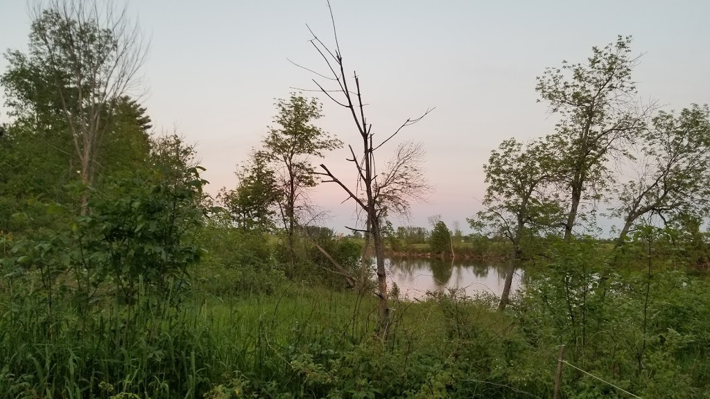 Sepaq Plaisance | 2 9 Avenue, Crabtree, QC J0K 1B0, Canada