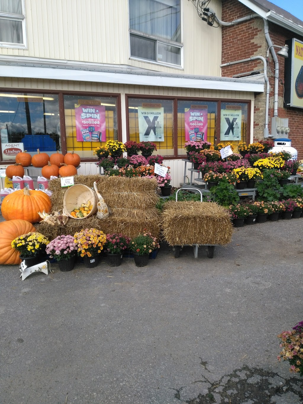 Naturipe Food Market Inc | 239 Portage Rd, Bolsover, ON K0M 1B0, Canada | Phone: (705) 426-5324