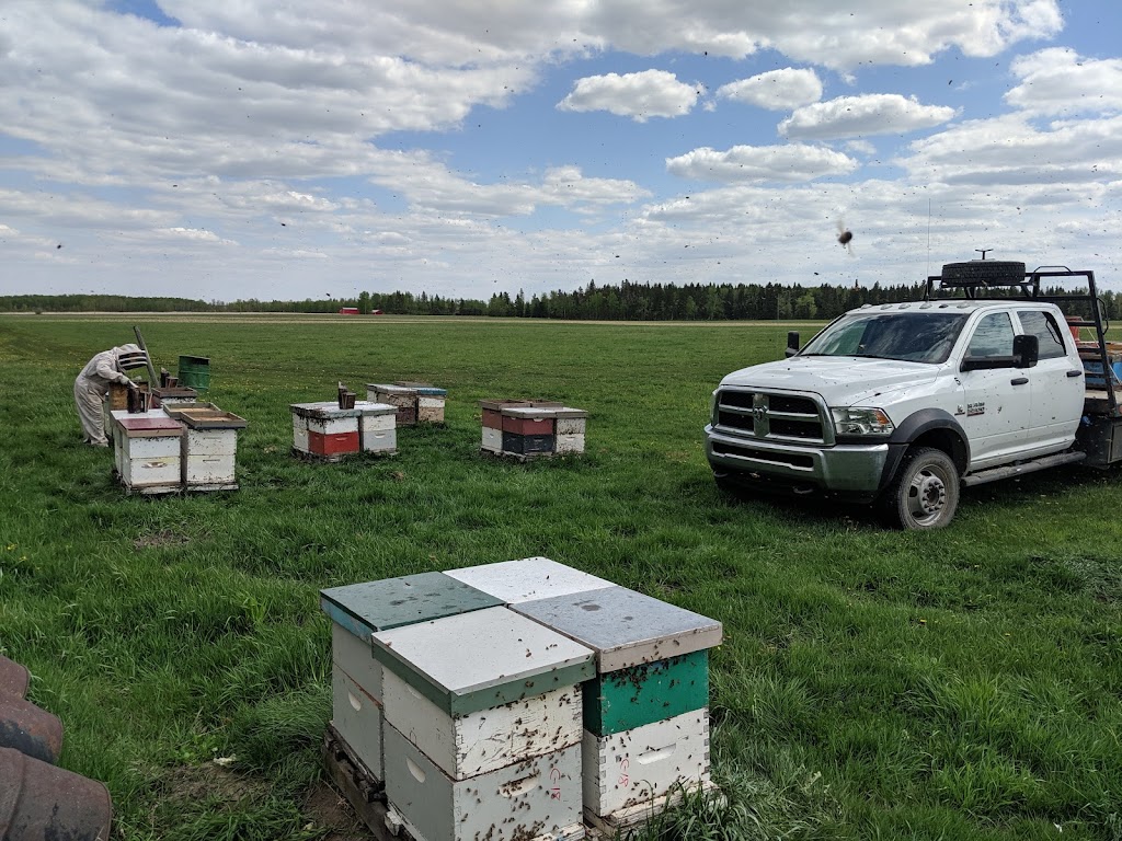 Pleasant Valley Honey Producers LTD | 272072 AB-13, Falun, AB T9A 1W8, Canada | Phone: (780) 352-2266