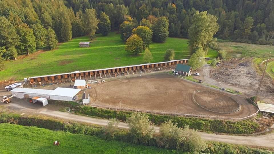 Hillside Stables Inc | 7465 Upper Prairie Rd, Chilliwack, BC V4Z 1J4, Canada | Phone: (604) 795-1504