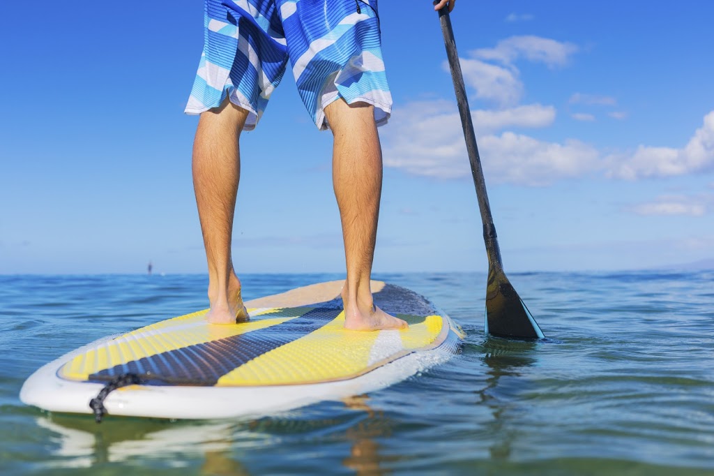 Southwinds Marine - Marina | 15 Harbour St E, Collingwood, ON L9Y 5B5, Canada | Phone: (705) 444-1251