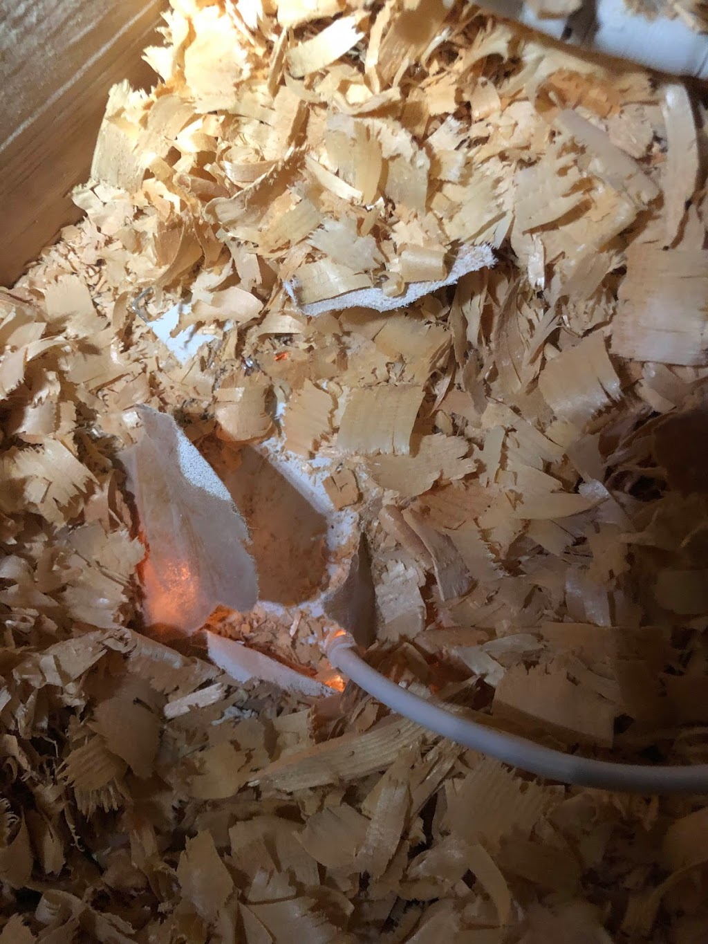 Comfort Home Attic Insulation | 3670 63 Ave NE Unit 250, Calgary, AB T1Y 2R6, Canada | Phone: (403) 479-6413