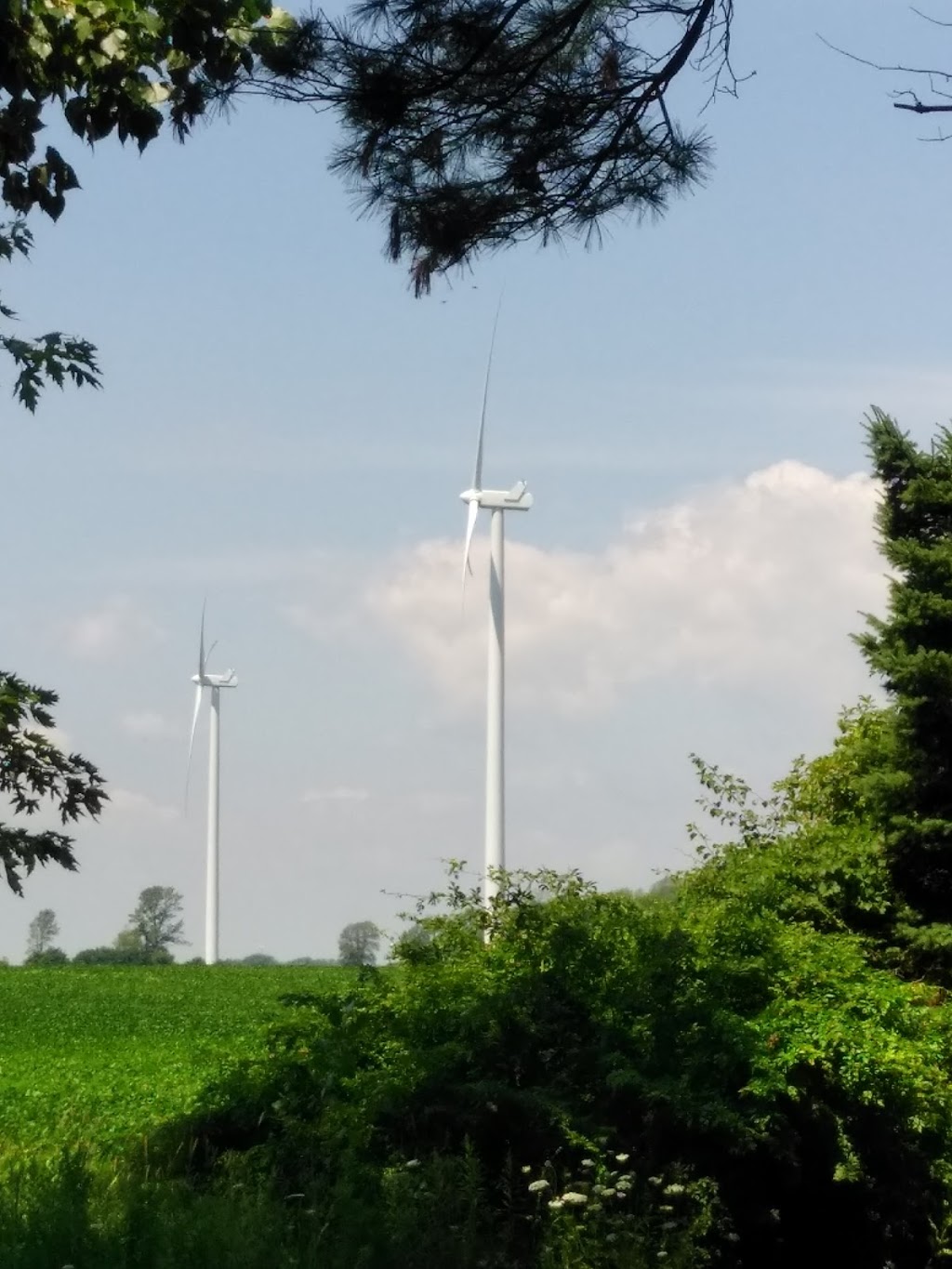 Haldimand Conservation Area | 644 S Coast Dr, Nanticoke, ON N0A 1L0, Canada | Phone: (905) 776-2700
