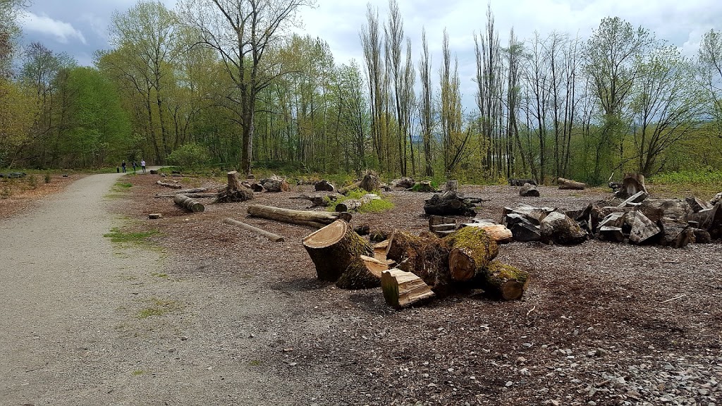Everett Crowley Park | 8200 Kerr St, Vancouver, BC V5S 4G5, Canada | Phone: (604) 873-7000