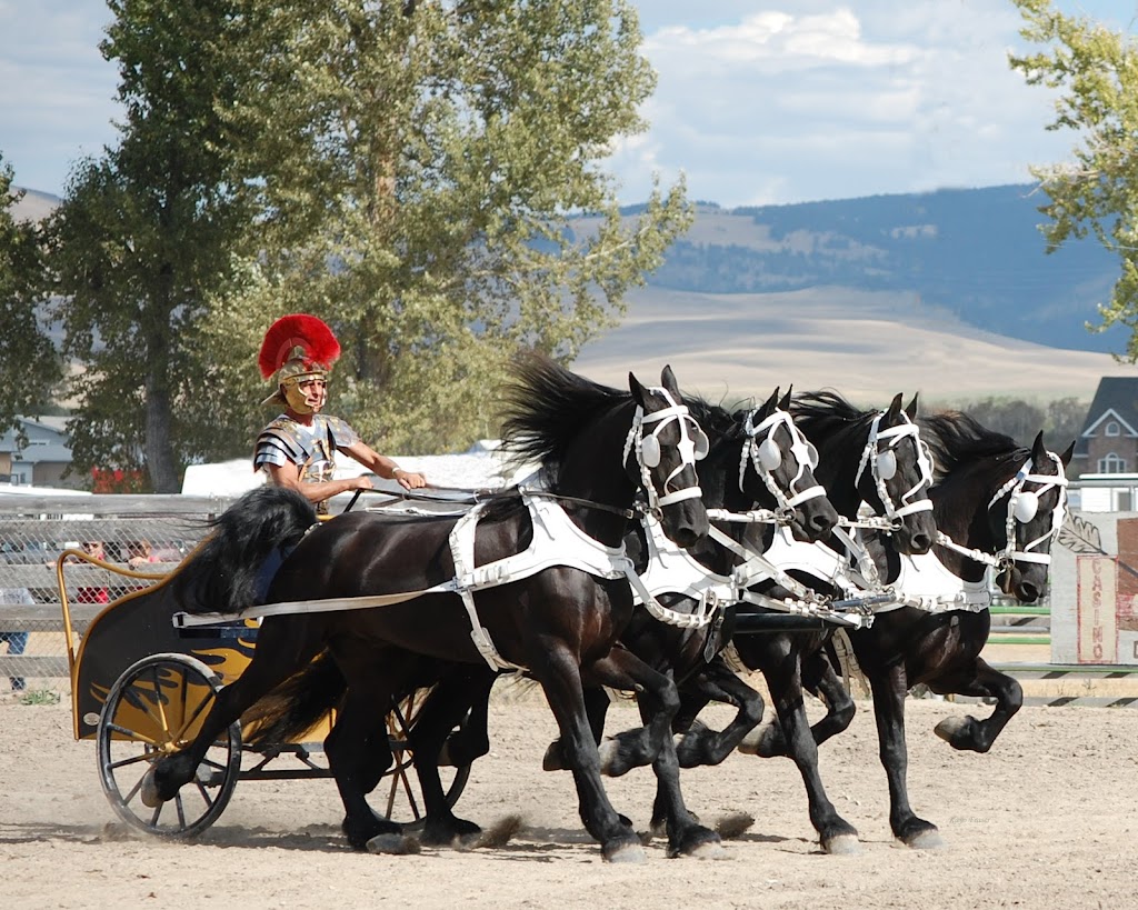 Horse Taxi | 3054 Houlgrave Rd, Invermere, BC V0A 1K5, Canada | Phone: (250) 342-1270