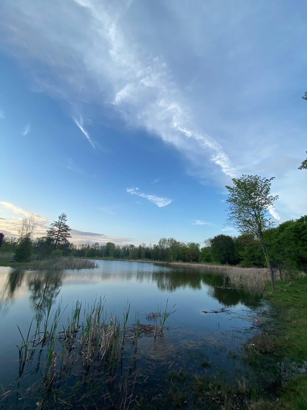 Lovers Creek | 2870 7th Line, Innisfil, ON L9S 4H6, Canada | Phone: (705) 436-3710