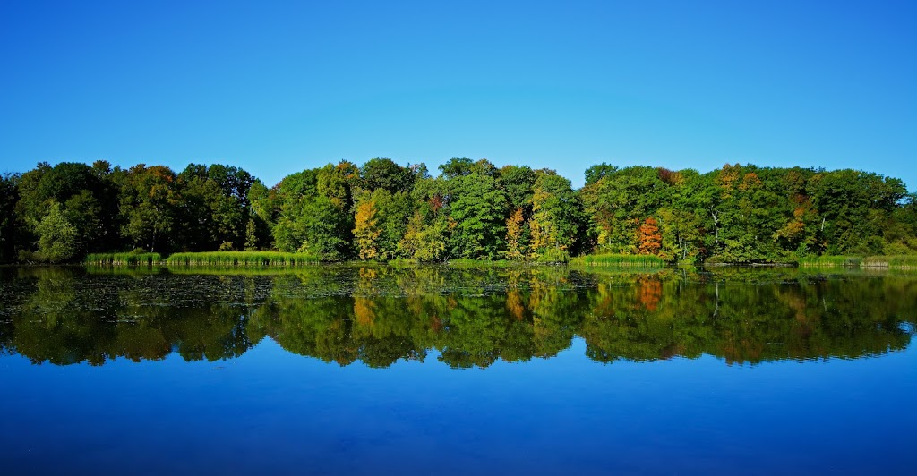 Samuel Francis PHOTOGRAPHY | 109 Thursfield Crescent, East York, ON M4G 2N4, Canada | Phone: (416) 275-5980