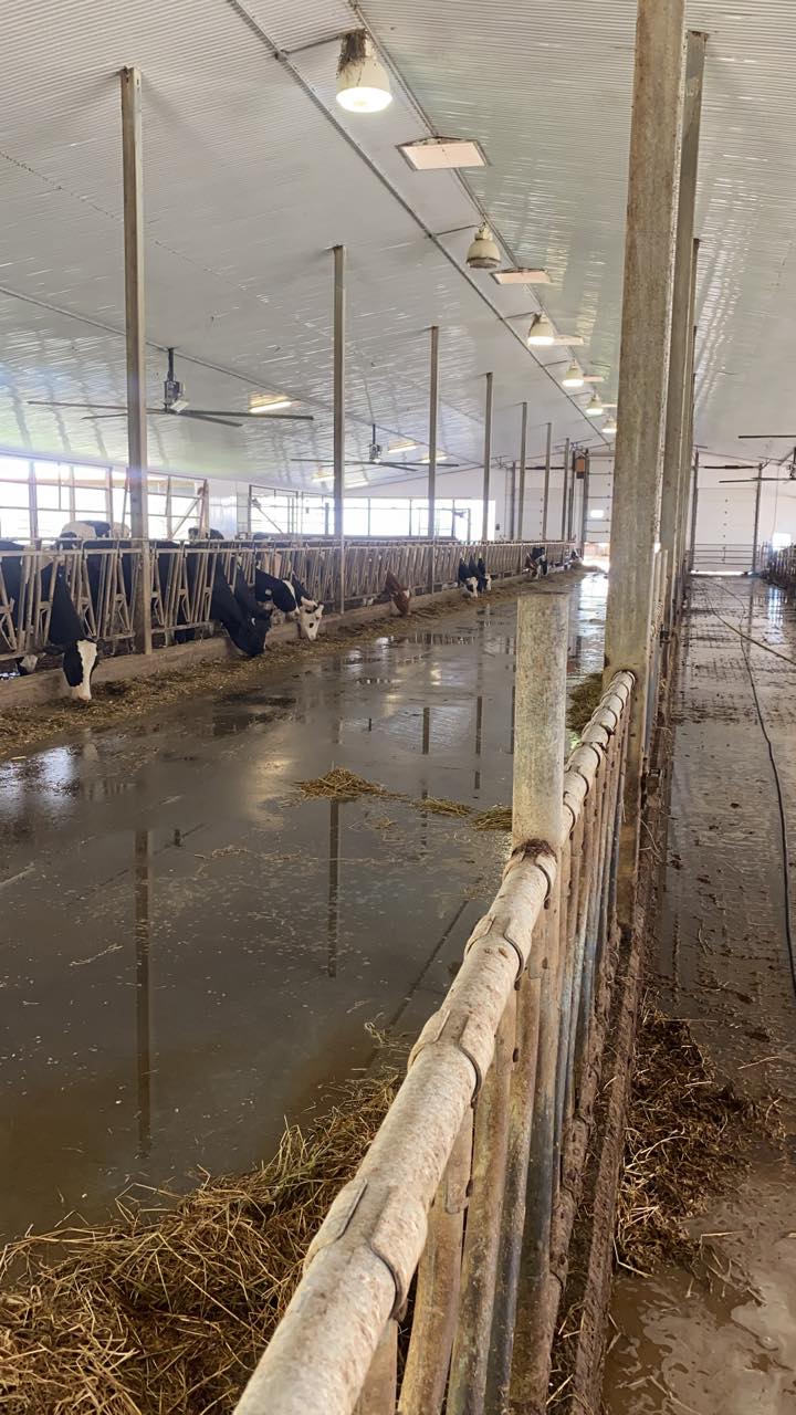 Ward Pressure Washing | 656 Metler Rd, Fenwick, ON L0S 1C0, Canada | Phone: (905) 932-3985
