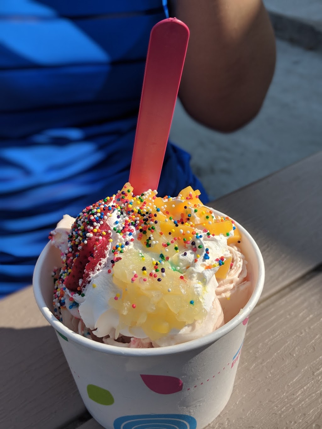 Arctic Bites | 16 Buffalo Rd, East Aurora, NY 14052, USA