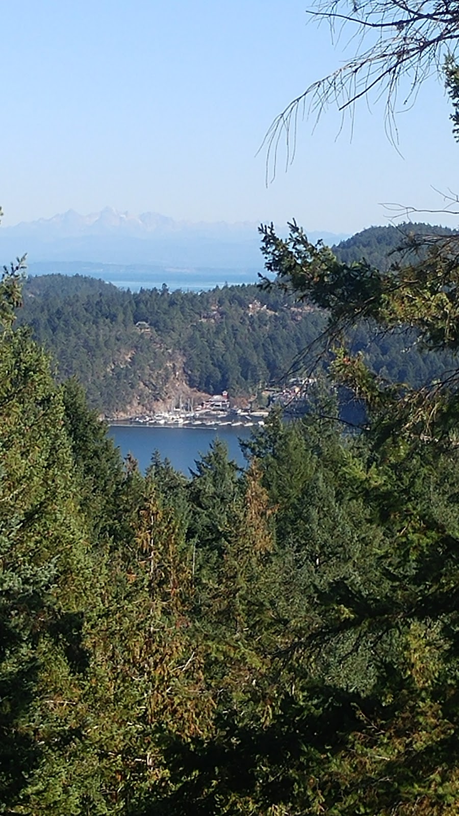 InfoMed | 4825 Cannon Crescent, Pender Island, BC V0N 2M2, Canada | Phone: (250) 629-0005
