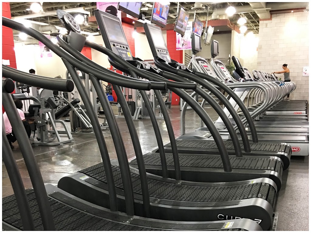 Wynn Fitness Richmond Hill | 11160 Yonge St, Richmond Hill, ON L4S 1H5, Canada | Phone: (905) 787-0007