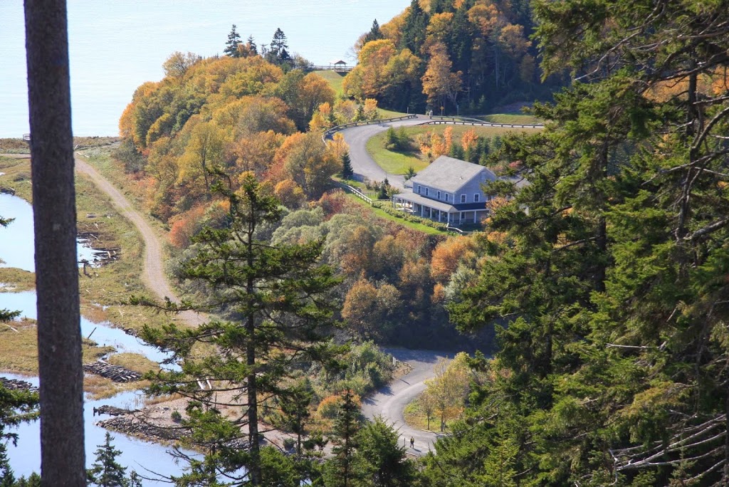 Fioris | 4 Snows Ln, St. Martins, NB E5R 1E6, Canada | Phone: (506) 608-4070