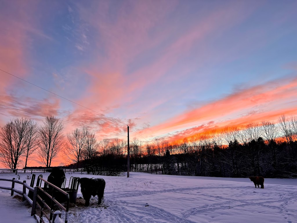 Ther-Hart Ranch | 2050 Chem. Lagueux, Stanstead, QC J0B 3E1, Canada | Phone: (819) 238-4701