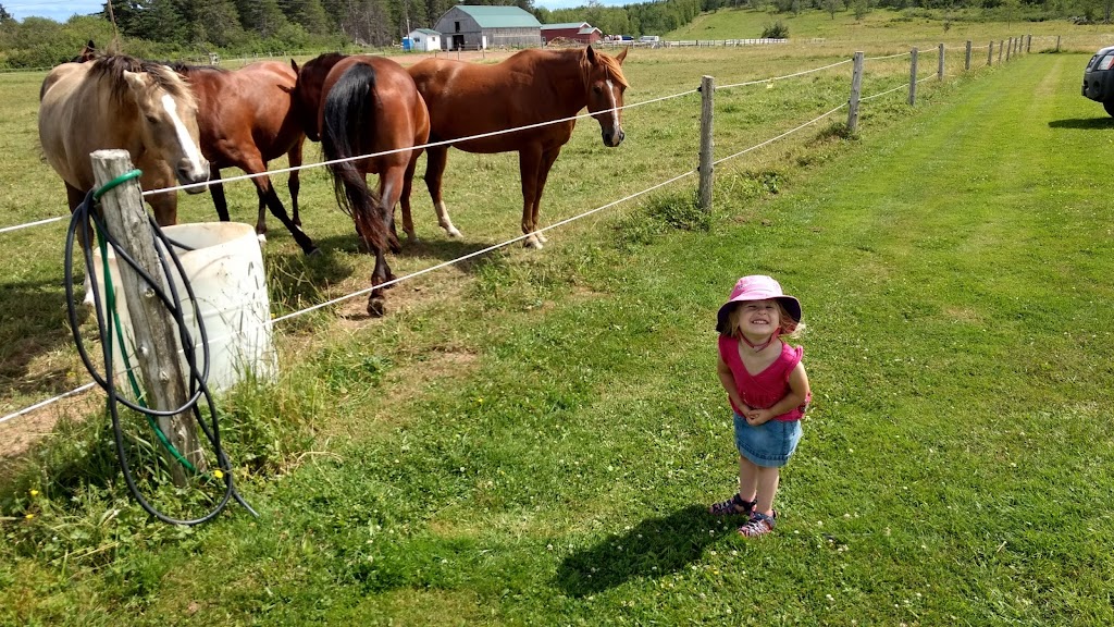 Seventh-Day Adventist Camp Pugwash | 2197 Gulf Shore Rd, Pugwash, NS B0K 1L0, Canada | Phone: (902) 243-2097