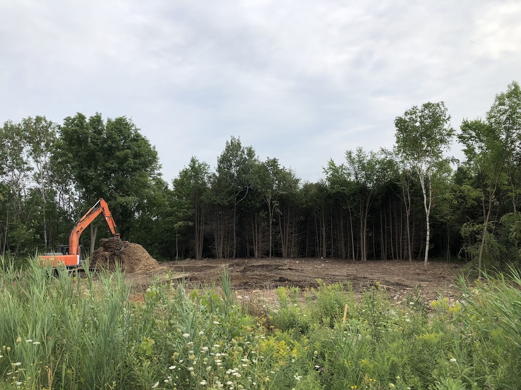 Pollock Land Clearing | 247 Blue Heron Rd, Carleton Place, ON K7C 0C5, Canada | Phone: (613) 206-1212