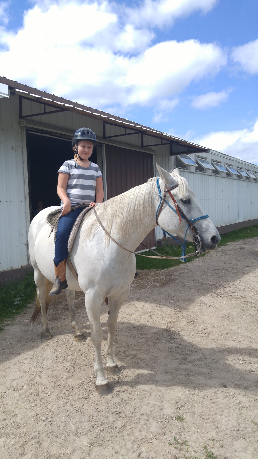 Miracle Ranch | 65083 Rd 22 E, Winnipeg, MB R5R 0K1, Canada | Phone: (204) 224-1180