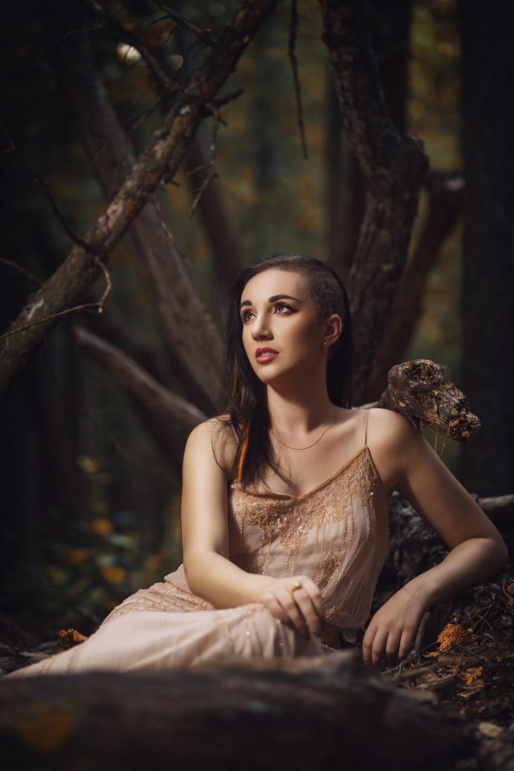 RN Photography | Desrosiers Dr, Winnipeg, MB R2C 4R6, Canada | Phone: (204) 558-7999