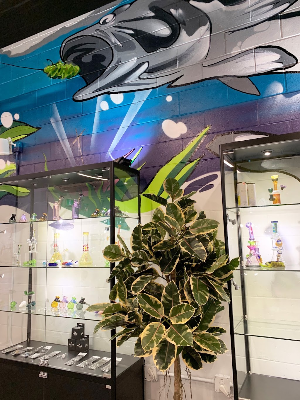 Stash & Co. - Port Hope | 123 Toronto Rd, Port Hope, ON L1A 3S5, Canada | Phone: (613) 292-4733