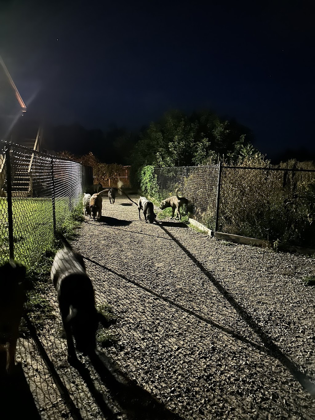 Cosima Corsos Inc | 12835 County Rd 2, Colborne, ON K0K 1S0, Canada | Phone: (289) 200-7716