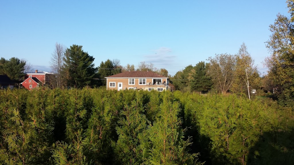 Pépinière Martin Potvin | 1542 Chemin St Louis, Saint-Lazare, QC J7T 1Z1, Canada | Phone: (514) 771-5488