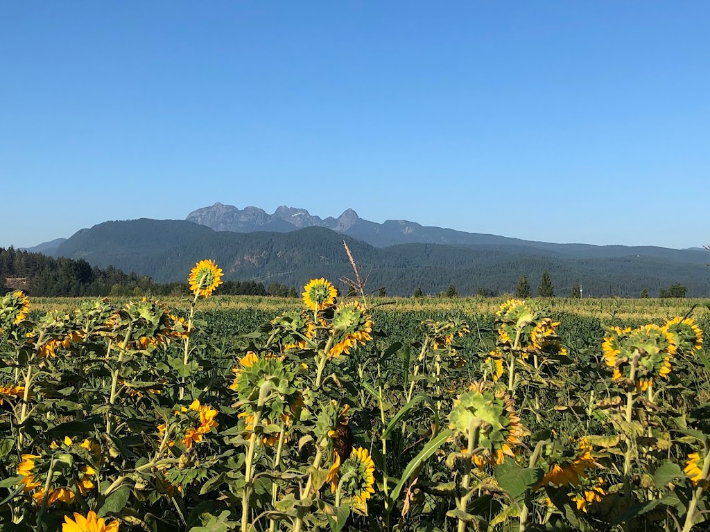 Hale’s End Farms | 14370 Hale Rd, Pitt Meadows, BC V3Y 1Z1, Canada | Phone: (604) 690-6055