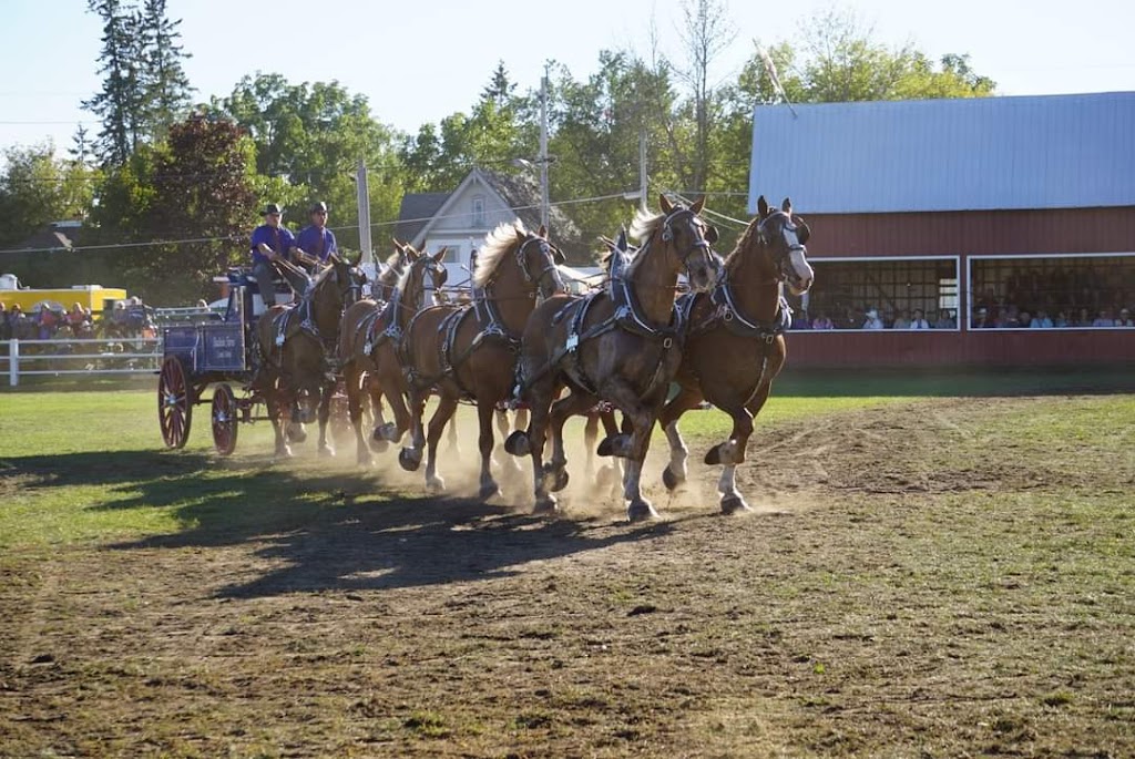 Steadholm Farms | 446 Dobbie Rd, Lanark, ON K0G 1K0, Canada | Phone: (613) 259-2721