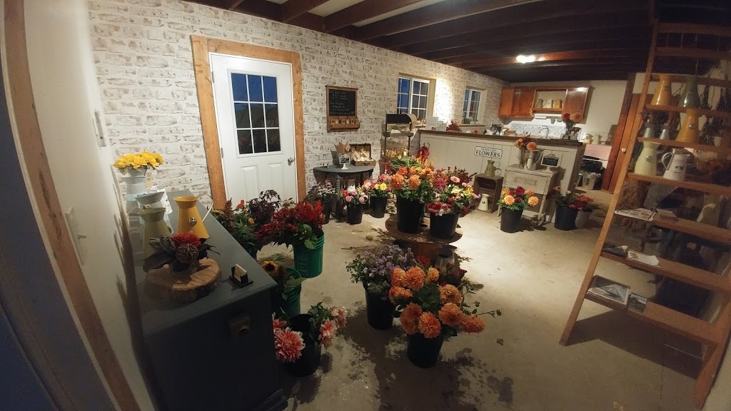 Makkinks Flower Farm | 164604 Kellett Rd, Tillsonburg, ON N4G 4G8, Canada | Phone: (226) 993-2048