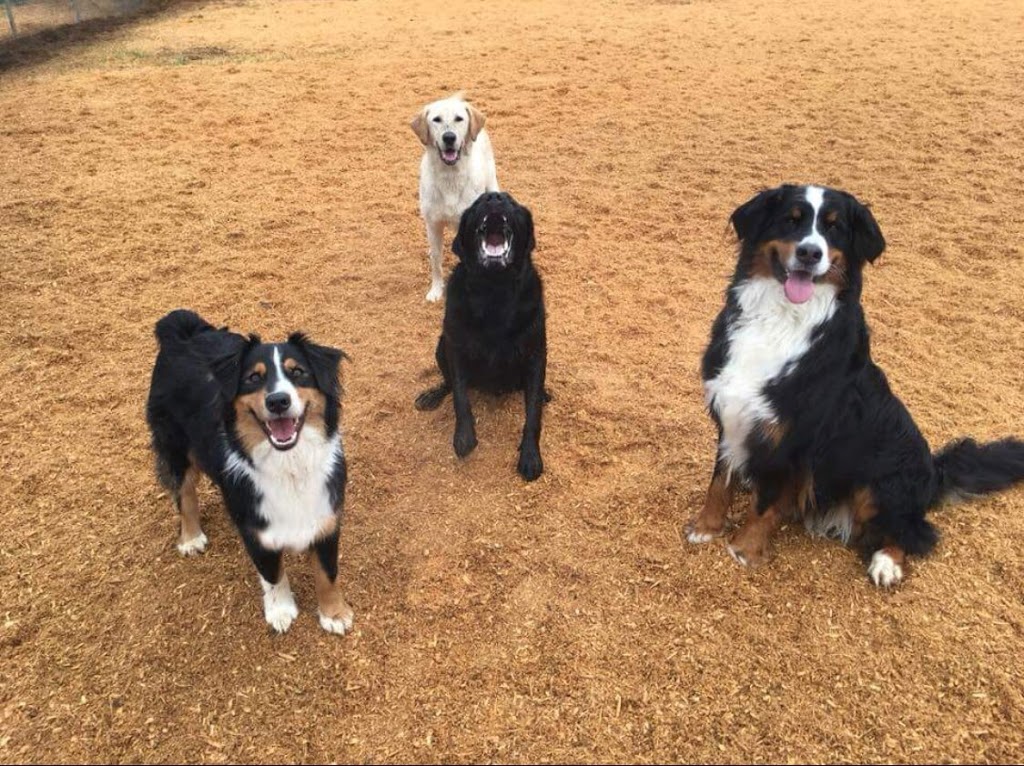 Pacific Northwest Kennels | 24243 0 Ave, Langley Twp, BC V2Z 2Y9, Canada | Phone: (604) 510-3618