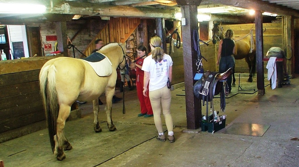 Cowichan Therapeutic Riding Association | 1843 Tzouhalem Rd, Duncan, BC V9L 5L6, Canada | Phone: (250) 746-1028