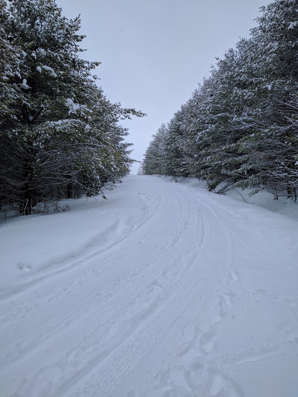 Breathe Easy Cottage | 214838 Baseline, West Grey, ON N0G, Canada | Phone: (519) 369-2783