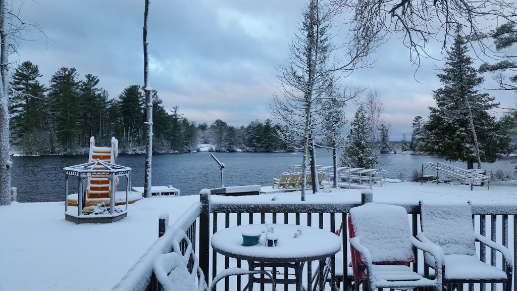 Rockside Cabins | 4674 Peterborough County Rd 36, Buckhorn, ON K0L 1J0, Canada | Phone: (705) 715-2111
