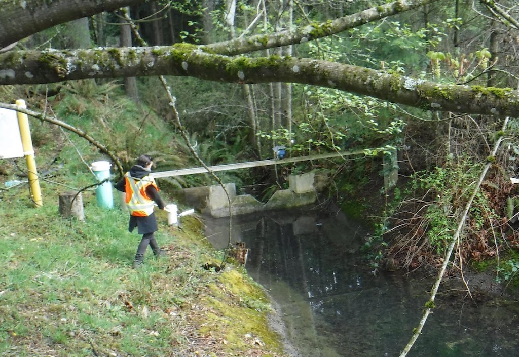 Corvidae Environmental Consulting | 6526 Water St, Sooke, BC V9Z 0X1, Canada | Phone: (250) 642-0078