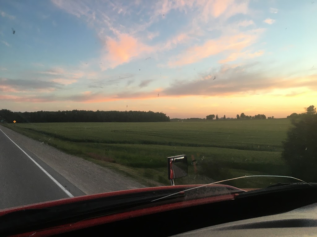 Thomsvue Farms | South Huron, ON N0M 1V0, Canada | Phone: (519) 229-6819