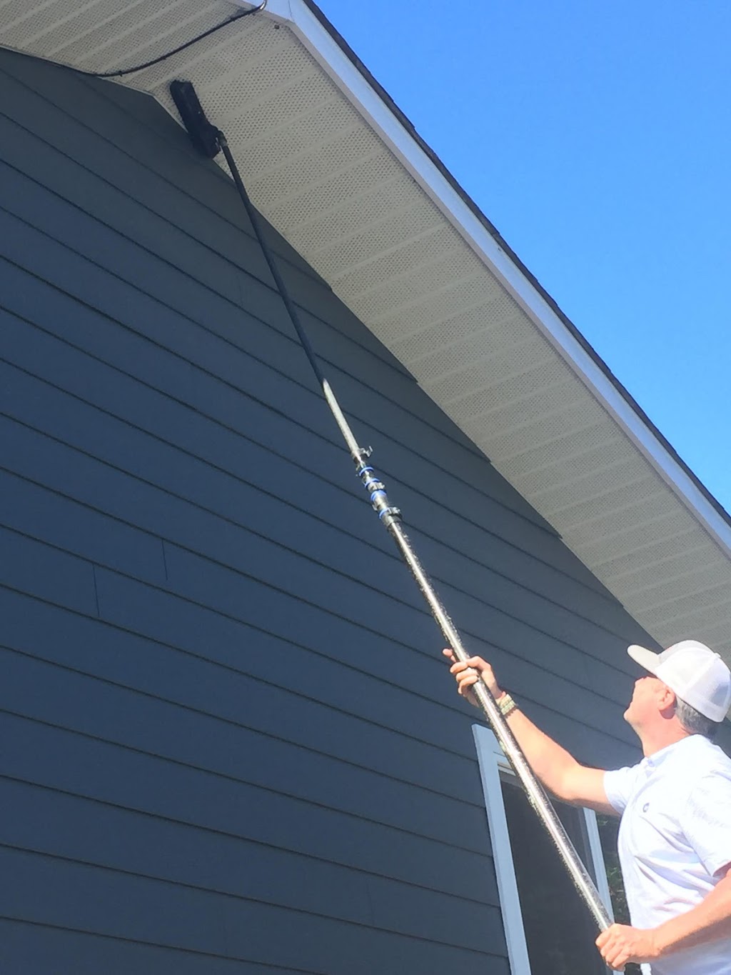Vernon Spider Control | 110 Kalamalka Lake Rd, Vernon, BC V1T 7M3, Canada | Phone: (250) 938-2991