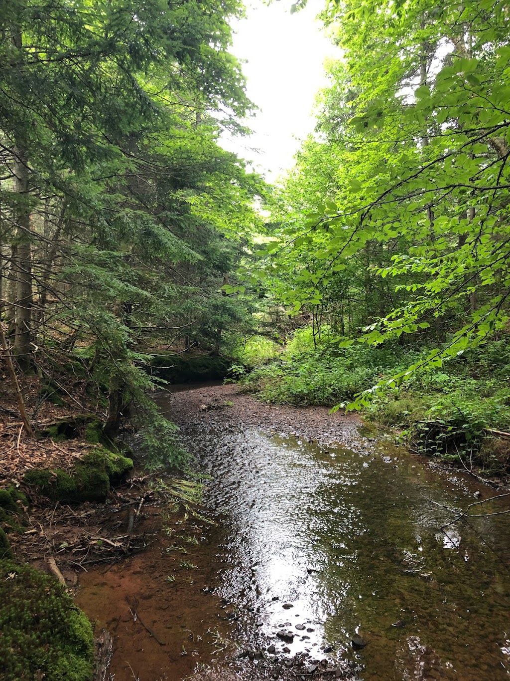 Wrights Creek Watershed Natural Area | 2 Oakland Dr, Charlottetown, PE C1C 1M9, Canada | Phone: (902) 628-1176