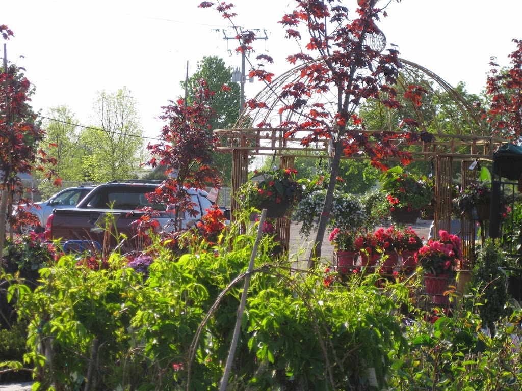 Peterborough Landscape Supply and Marquis Hot Tubs | 2200 Keene Rd, Peterborough, ON K9J 6X7, Canada | Phone: (705) 743-1428