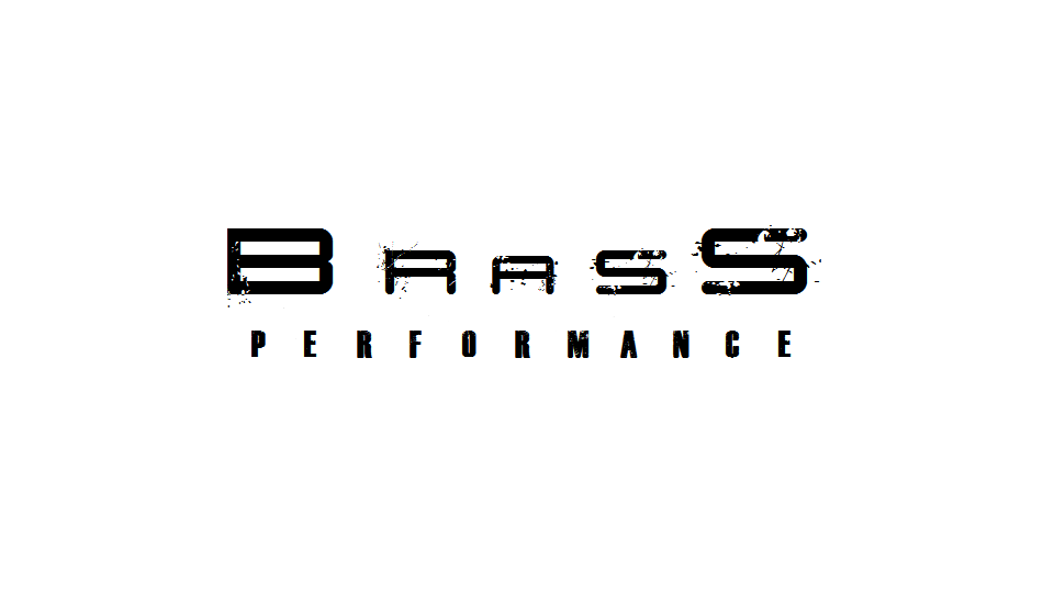 Brass Performance | Exclusive Personal Training Studio | 955 St Marys Rd Unit 3, Winnipeg, MB R2M 3R9, Canada | Phone: (204) 230-4057