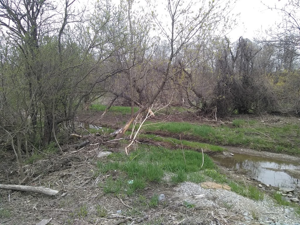 Etobicoke Trail Brampton | Brampton, ON L6T 5N2, Canada