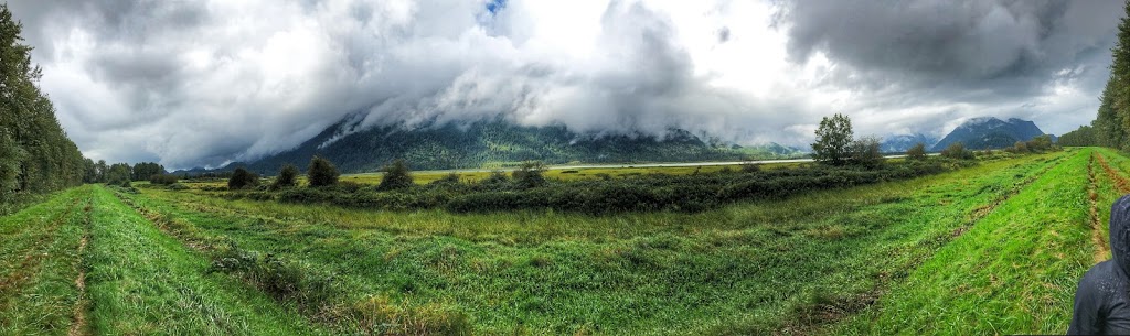 Pitt Polder Ecological Reserve | Pitt Meadows, BC V3Y, Canada