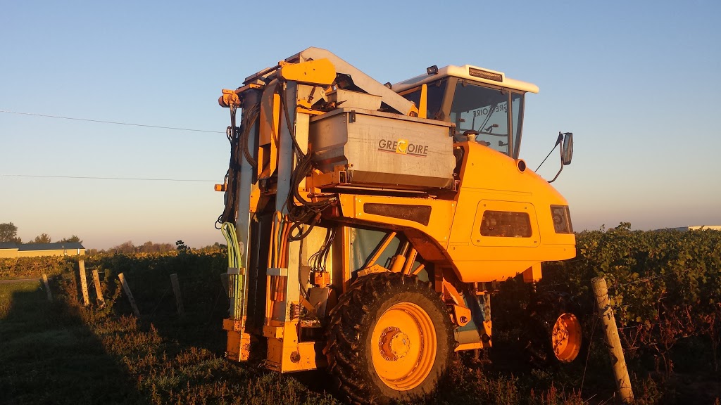 B-Ys Honey Farm | 996 Concession 6 Rd, Niagara-on-the-Lake, ON L0S 1J0, Canada | Phone: (905) 984-4408