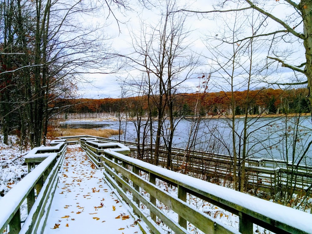 Wendat Hiking Trail | Unnamed Road, Tiny, ON L0K, Canada