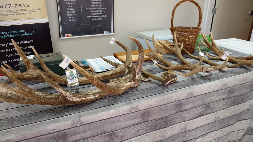 Marché public de Westbury | 166 QC-112, East Angus, QC J0B 1R0, Canada | Phone: (819) 560-8450