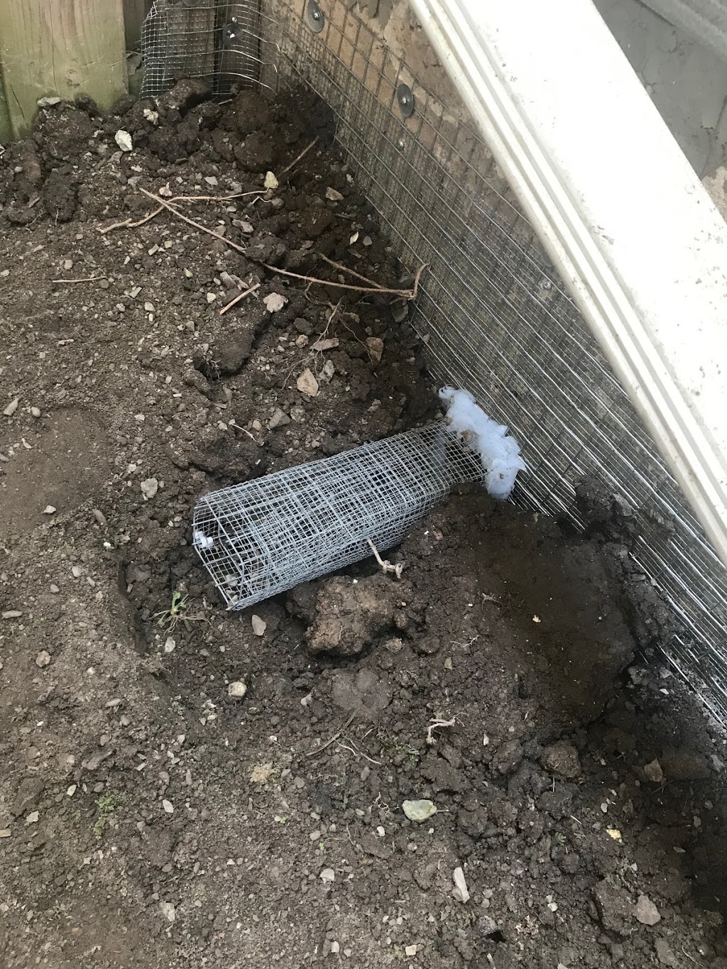 All Wildlife Removal | 656 King Rd, Burlington, ON L7T 3K4, Canada | Phone: (877) 221-2999